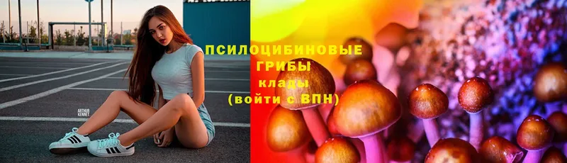 Псилоцибиновые грибы прущие грибы  купить  сайты  Короча 